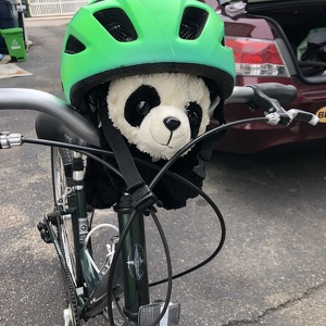 Team Page: Pedaling Pandas